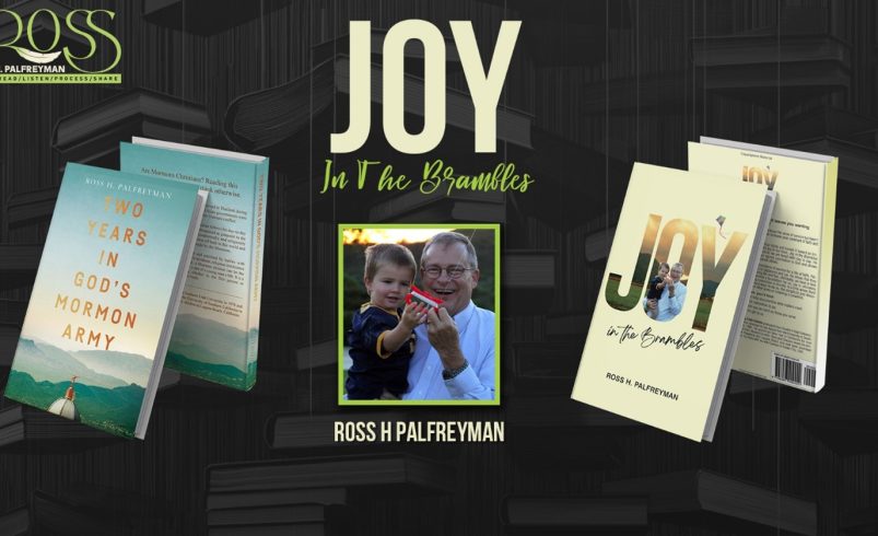 Choosing Joy: Discovering God’s Light in “Joy in the Brambles”